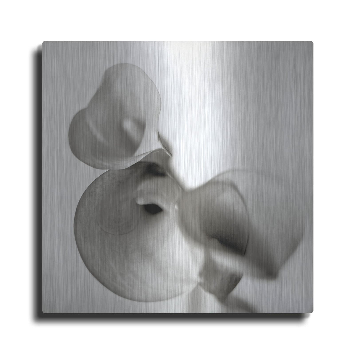 'Florison 59' by Alan Blaustein – Metal Wall Art