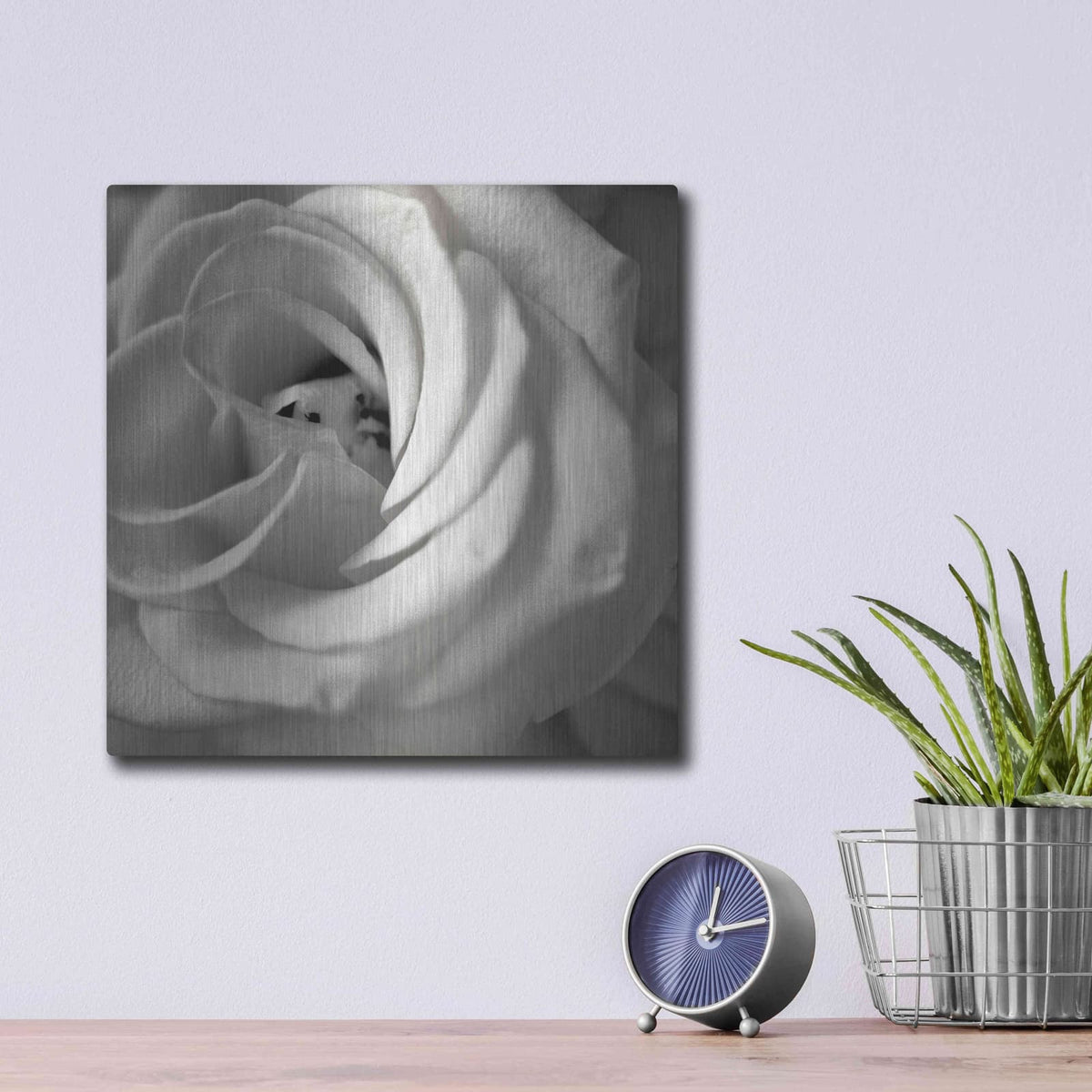 'Florison 43' by Alan Blaustein – Metal Wall Art, 12x12 room view