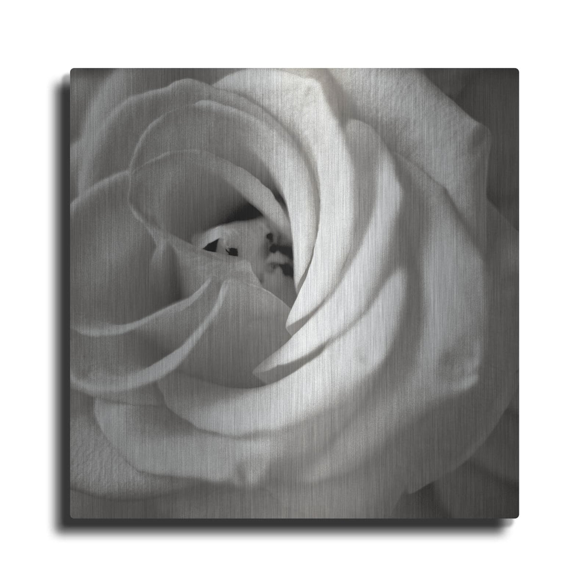 'Florison 43' by Alan Blaustein – Metal Wall Art
