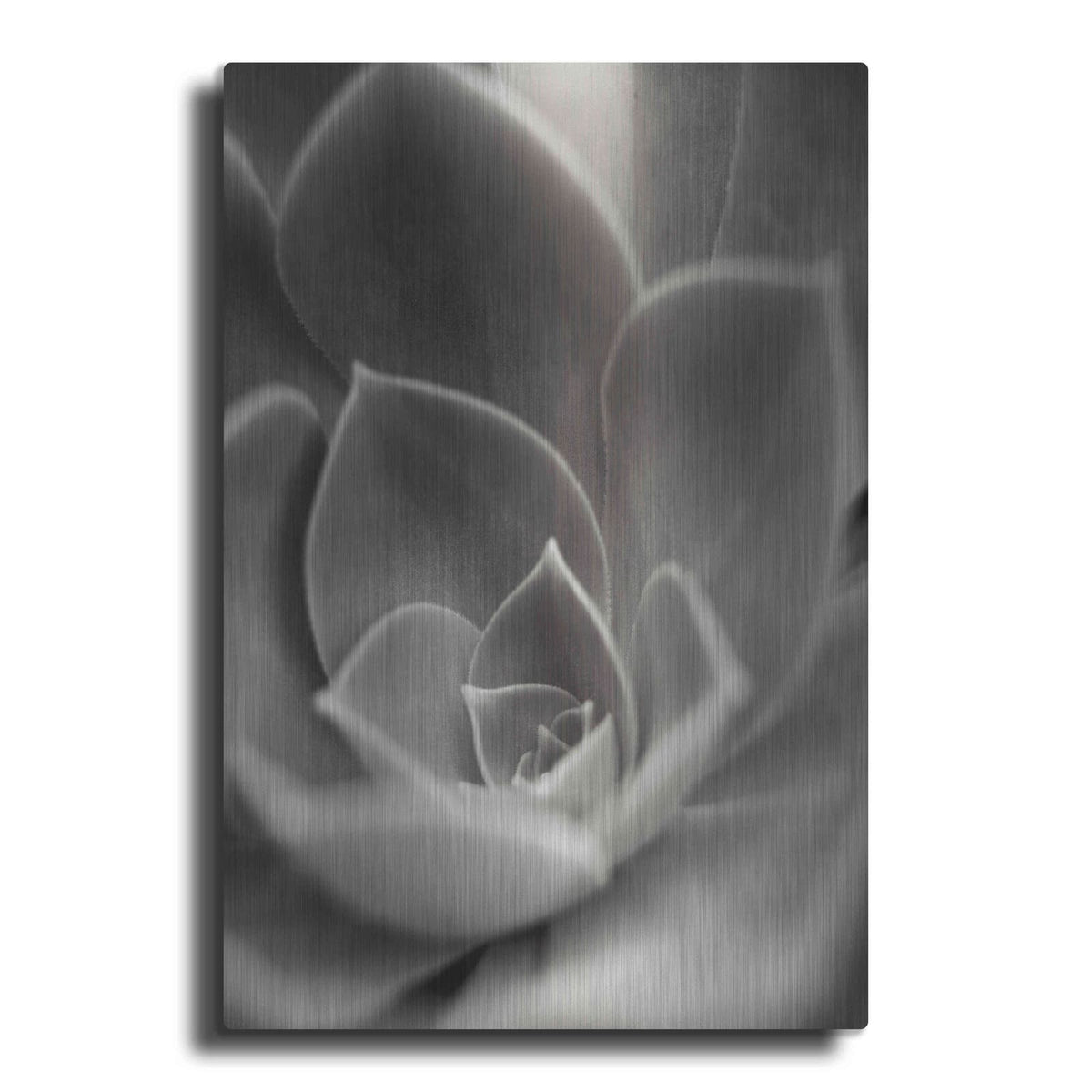 'Florison 25' by Alan Blaustein – Metal Wall Art