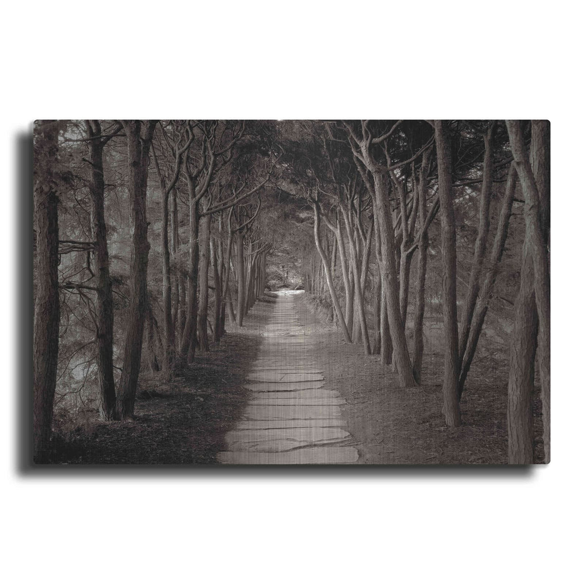 'Banc de Jardin 75' by Alan Blaustein – Metal Wall Art
