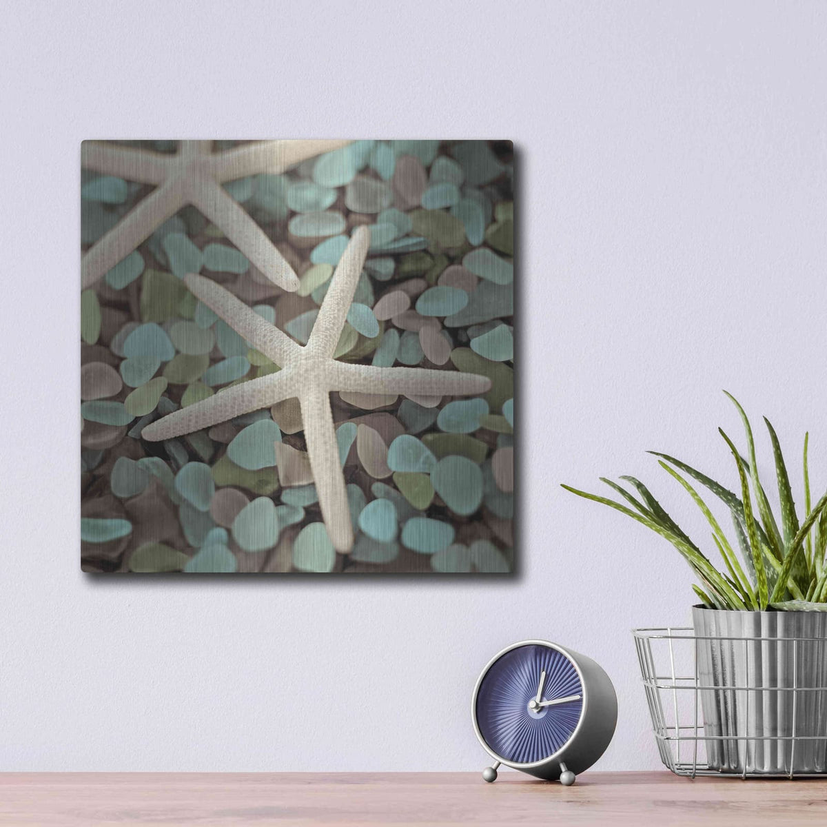 'Aquatic 1' by Alan Blaustein – Metal Wall Art, 12x12 room view