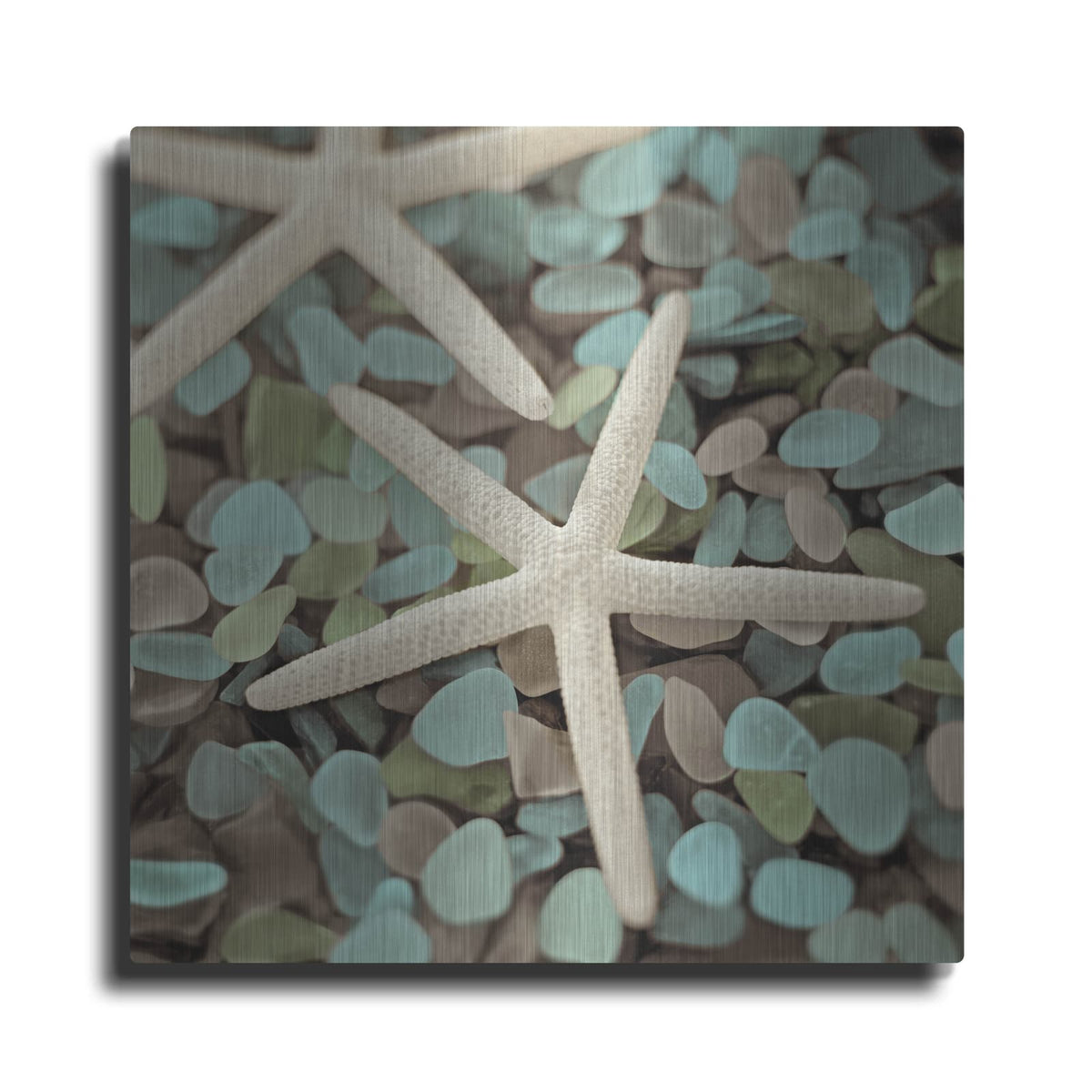 'Aquatic 1' by Alan Blaustein – Metal Wall Art