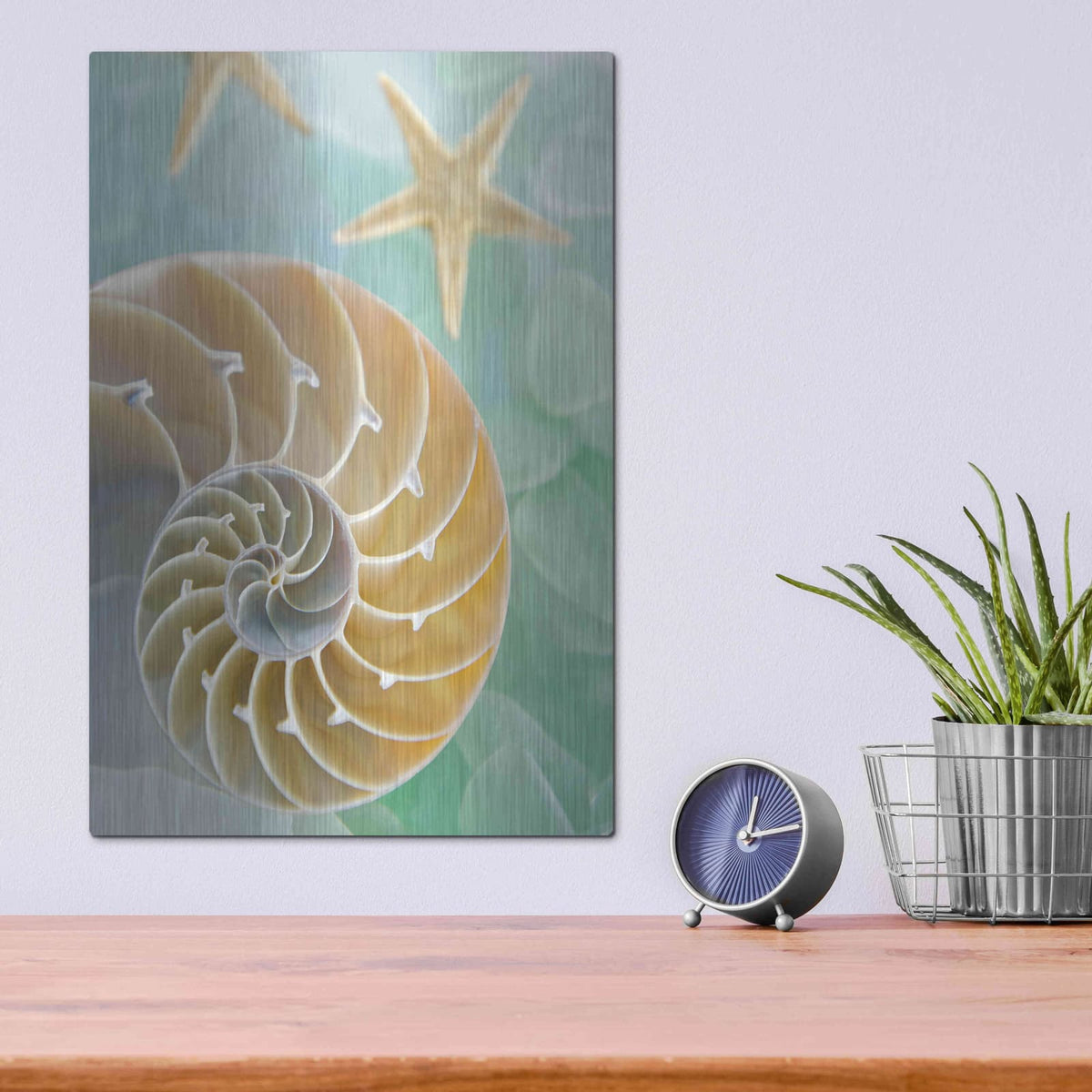 'Seaglass 2' by Alan Blaustein – Metal Wall Art, 12x16 room view