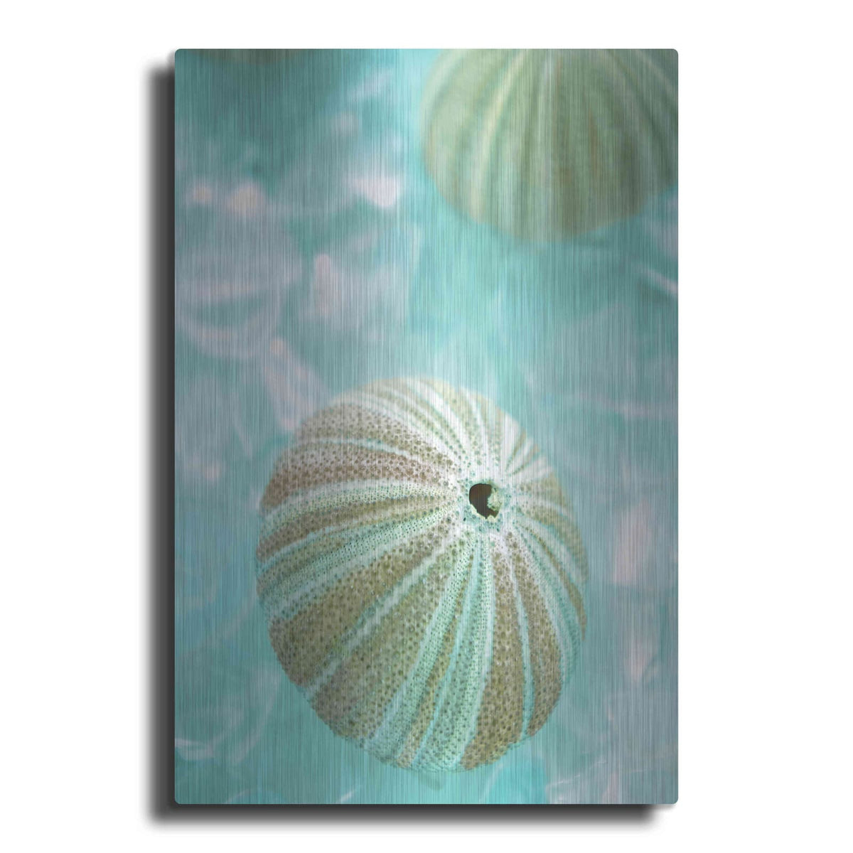 'Seaglass 4' by Alan Blaustein – Metal Wall Art