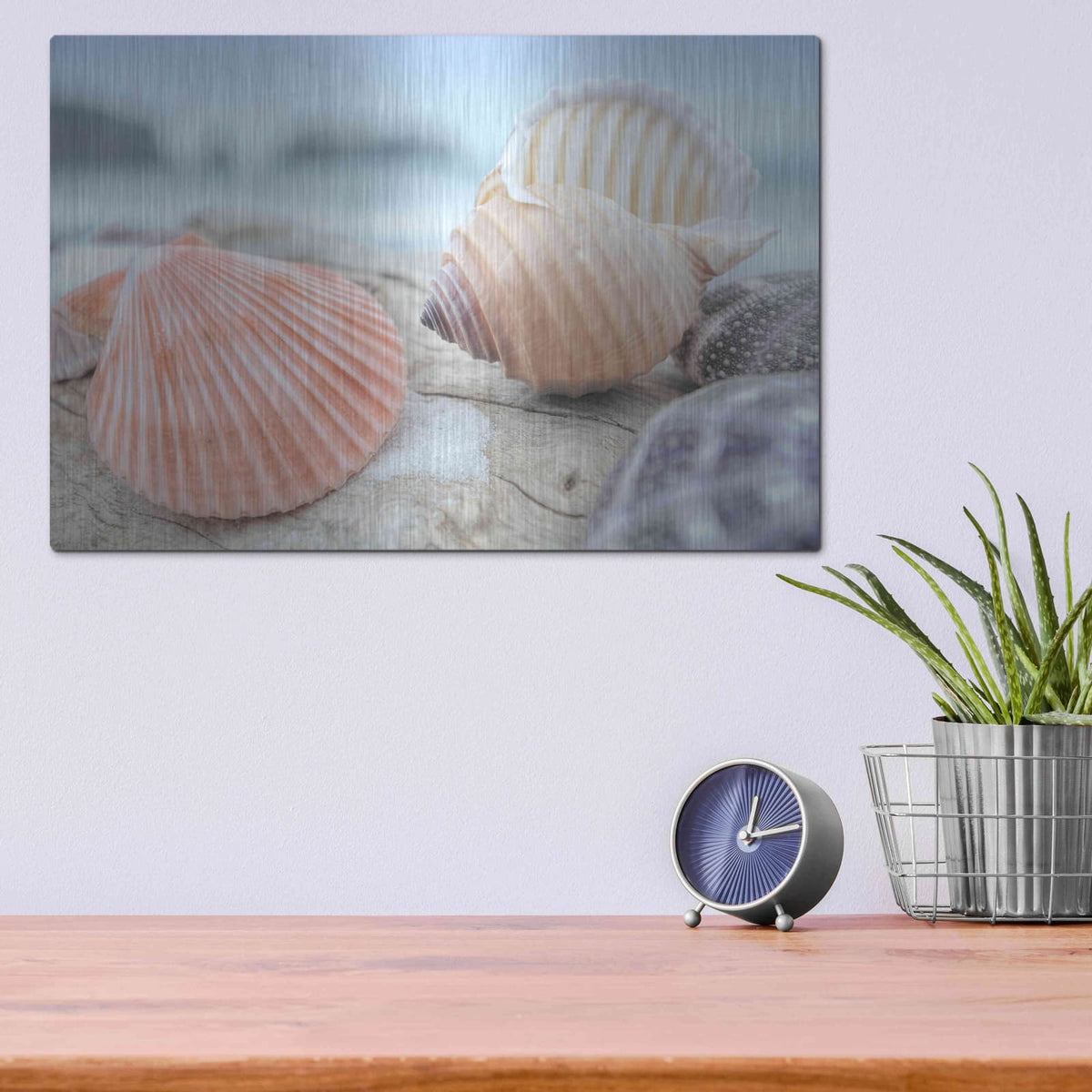 'Crescent Beach Shells 10' by Alan Blaustein – Metal Wall Art, 16x12 room view