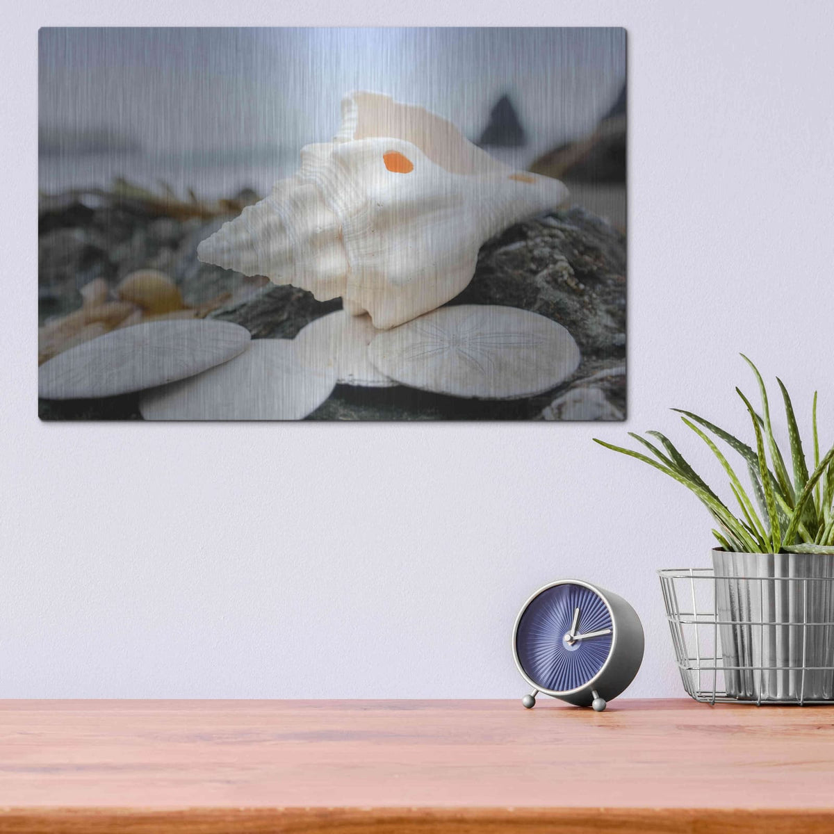 'Crescent Beach Shells 11' by Alan Blaustein – Metal Wall Art, 16x12 room view