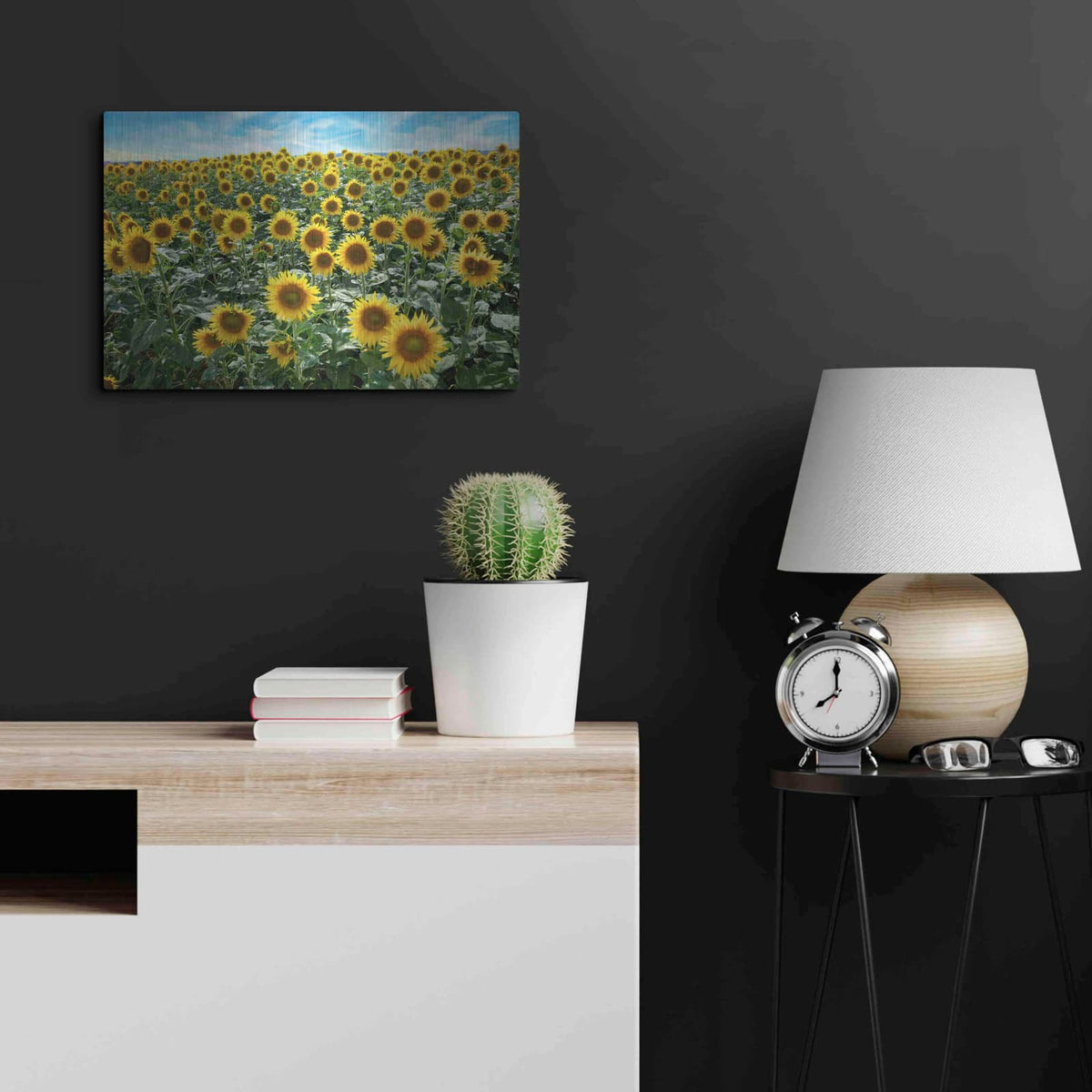 'Cortona Sunflowers 1' by Alan Blaustein – Metal Wall Art, 24x16 room view