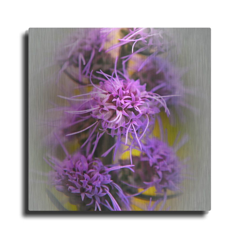 'Meadow Flowers' by Jan Bell – Metal Wall Art