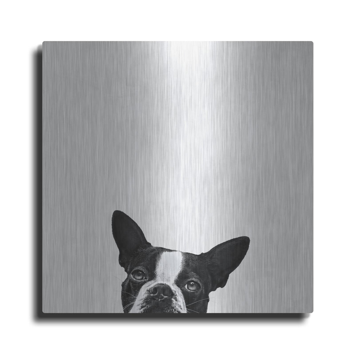 'Loyalty' by Jon Bertelli – Metal Wall Art