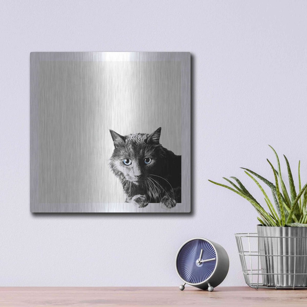 'Inquisitive' by Jon Bertelli – Metal Wall Art, 12x12 room view