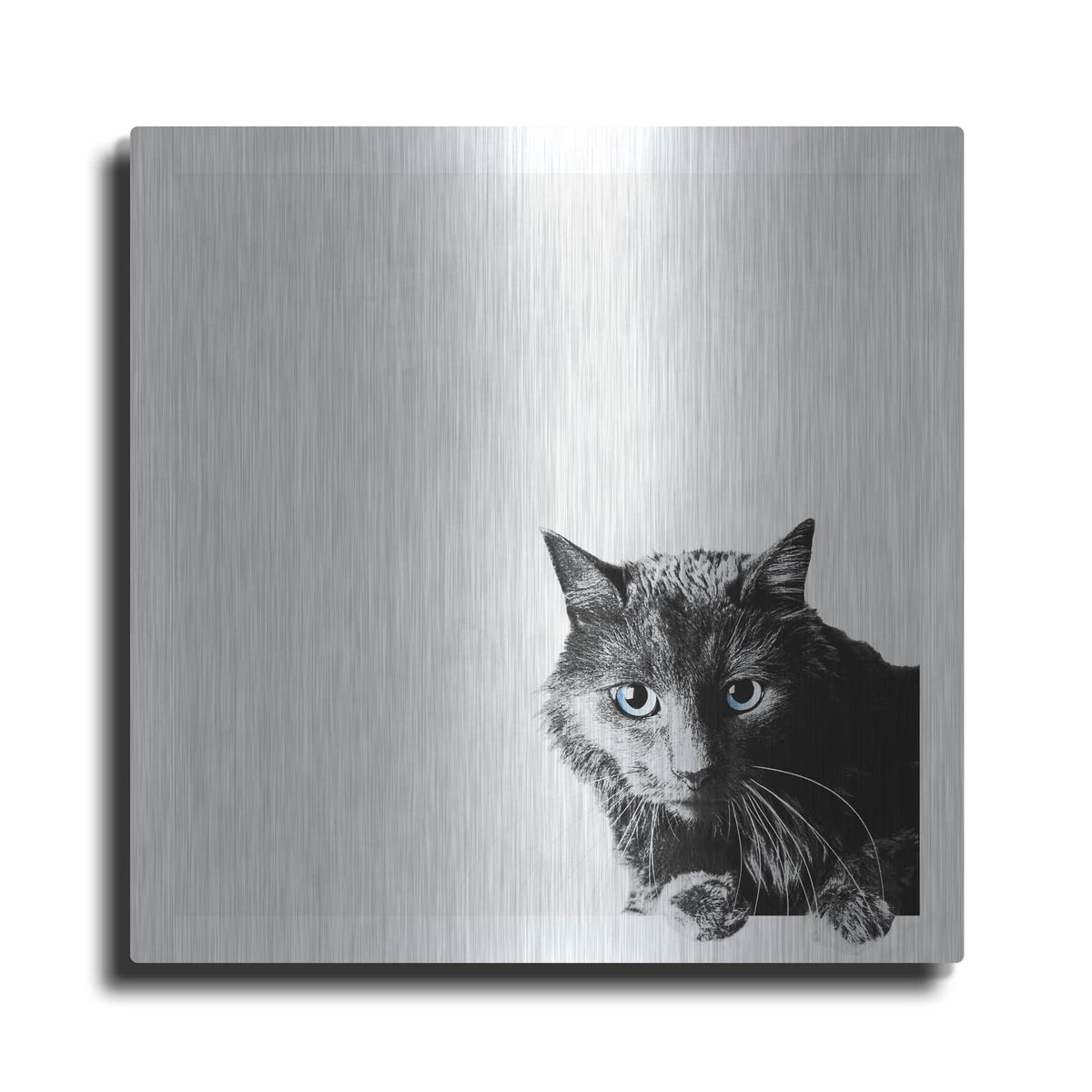'Inquisitive' by Jon Bertelli – Metal Wall Art