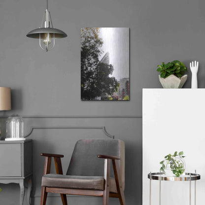 Luxe Metal Art 'Flatiron Autumn' by Nicklas Gustafsson, Metal Wall Art,16x24