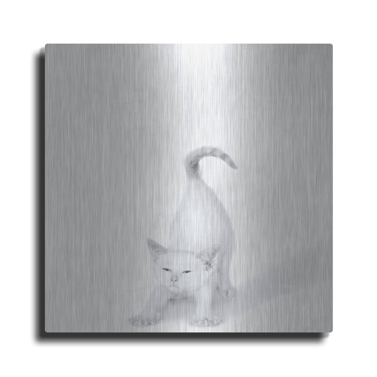 'Bonjour!' by Jon Bertelli – Metal Wall Art