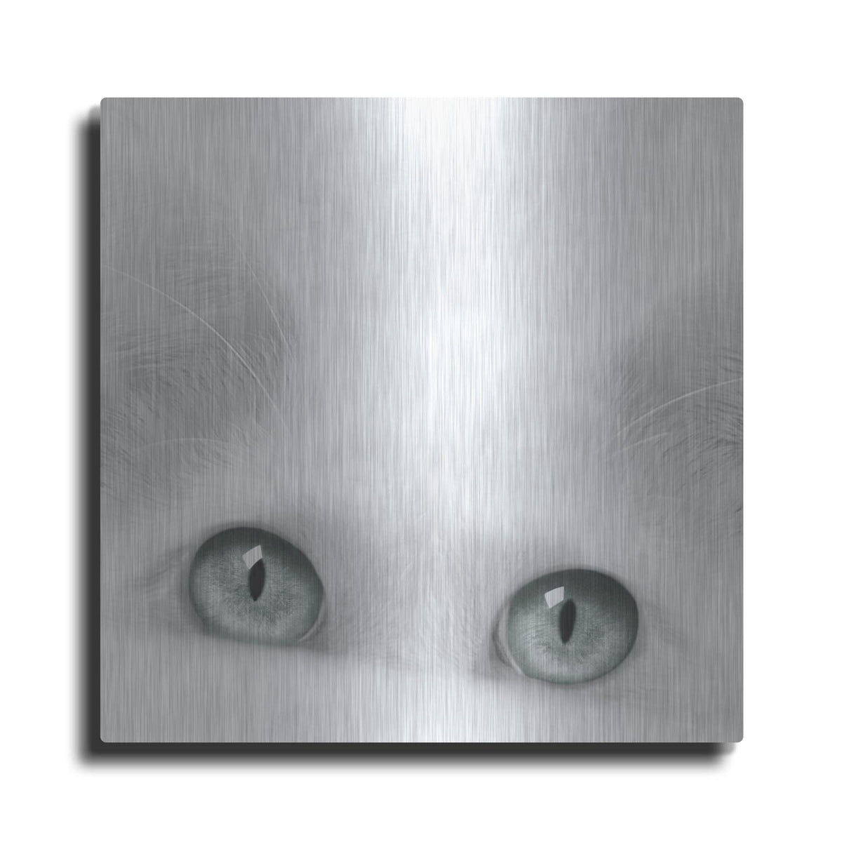 'Diva' by Jon Bertelli – Metal Wall Art