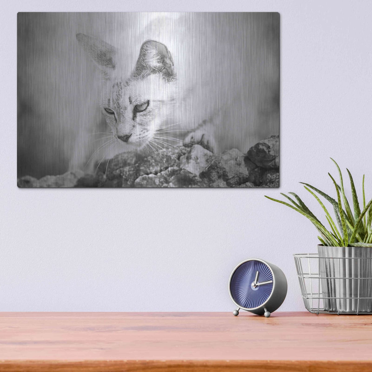 'The Heart of a Lion' by Jon Bertelli – Metal Wall Art, 16x12 room view