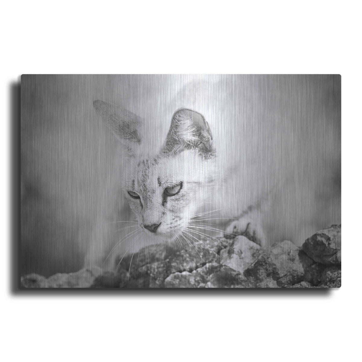 'The Heart of a Lion' by Jon Bertelli – Metal Wall Art