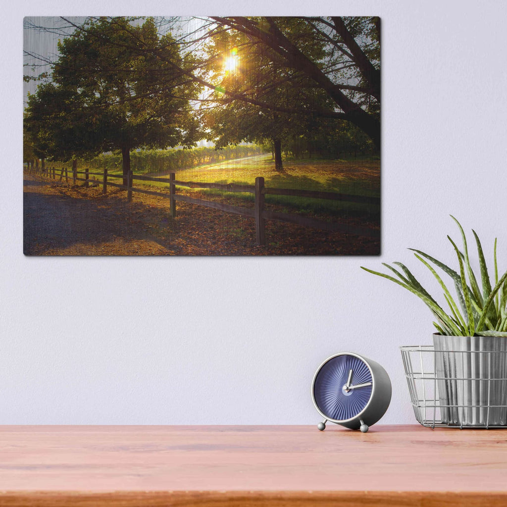 'Dreamland Vineyard' by Michael Broom – Metal Wall Art, 16x12 room view