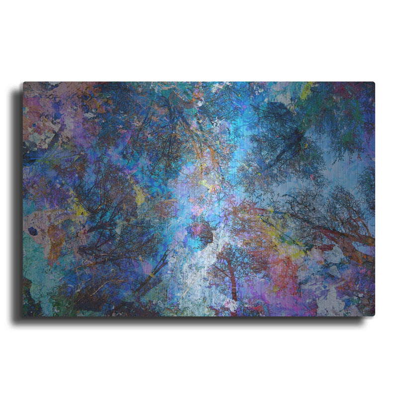 'Dreaming up to the Trees' by Michael Broom – Metal Wall Art