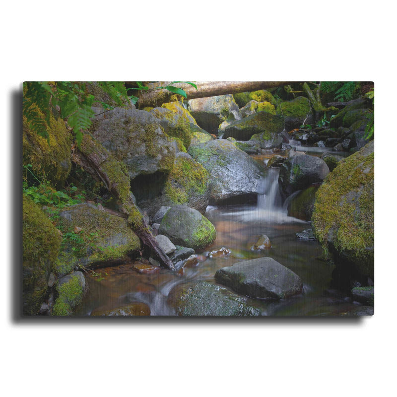 'Mossy Stream' by Michael Broom – Metal Wall Art