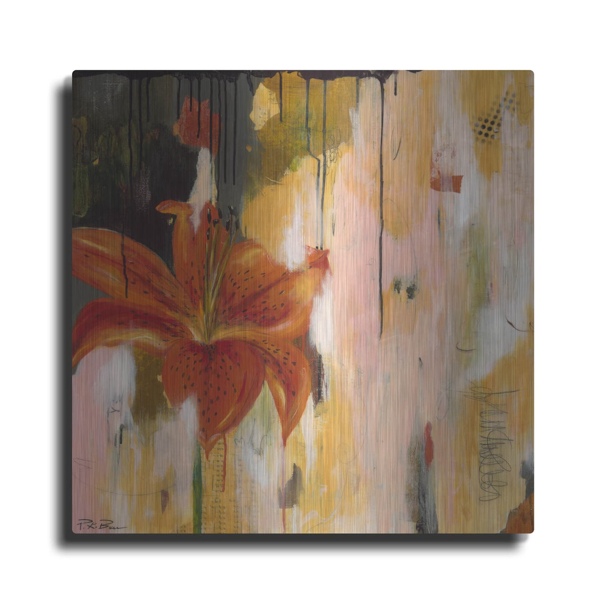 'Stargazing' by Pamela Beer – Metal Wall Art