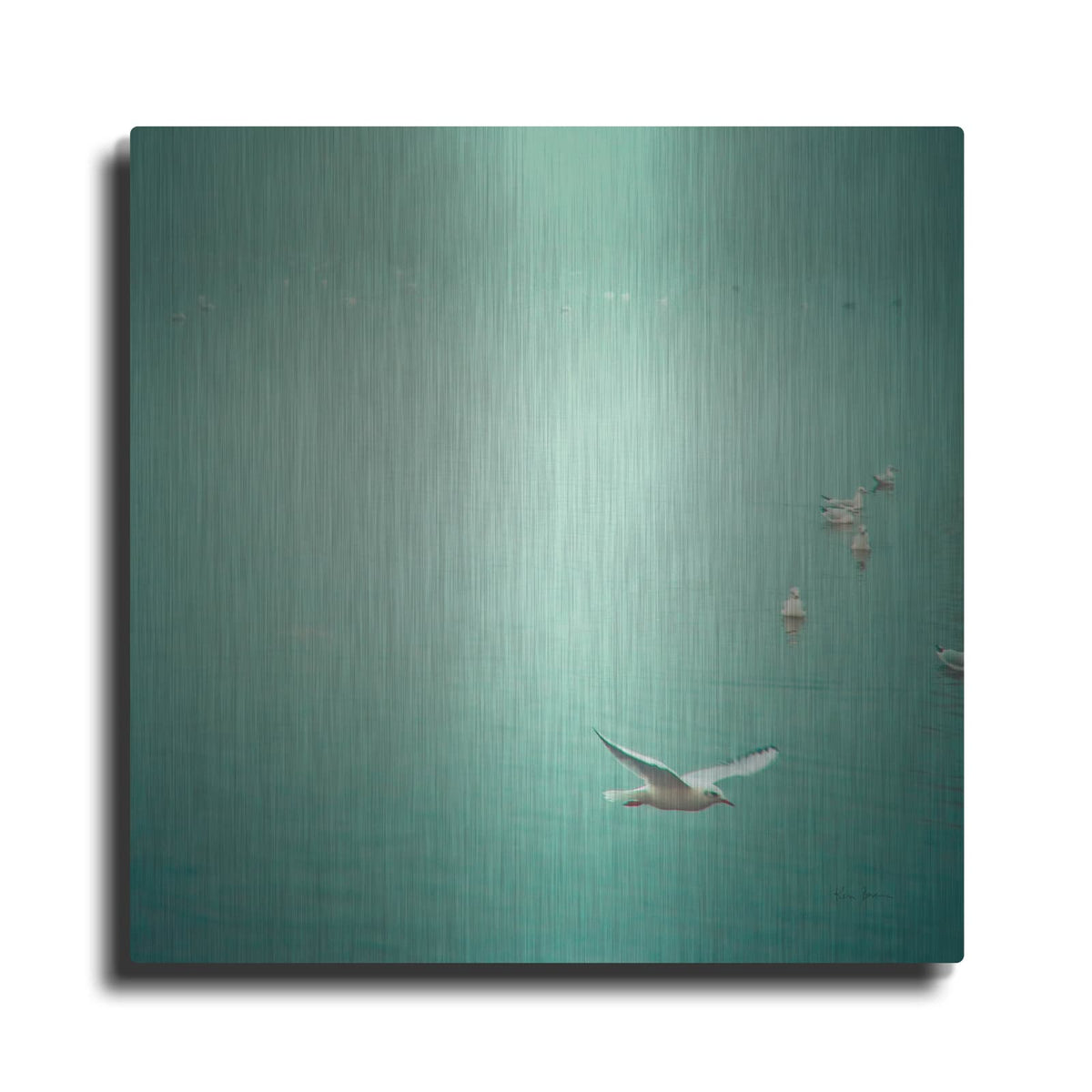 'Soul Birds' by Keri Bevan – Metal Wall Art