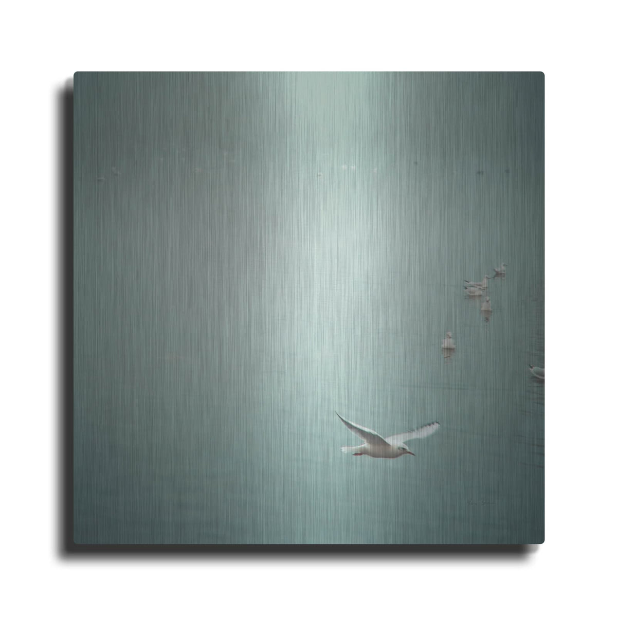 'Soul Birds Harbor Gray' by Keri Bevan – Metal Wall Art