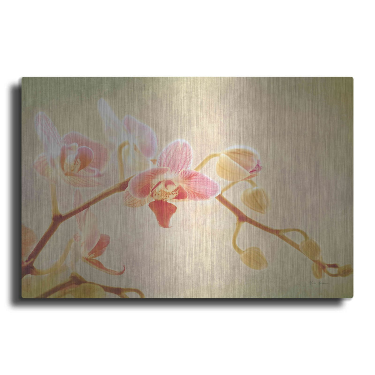 'Perfume' by Keri Bevan – Metal Wall Art