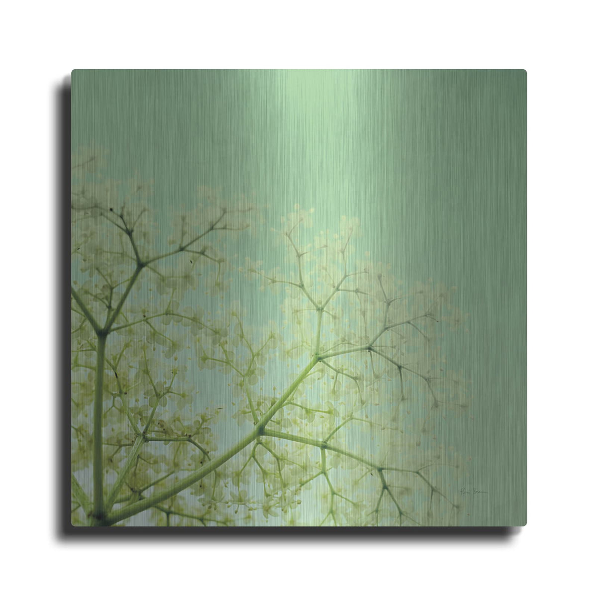 'Cuckoo Flowers' by Keri Bevan – Metal Wall Art
