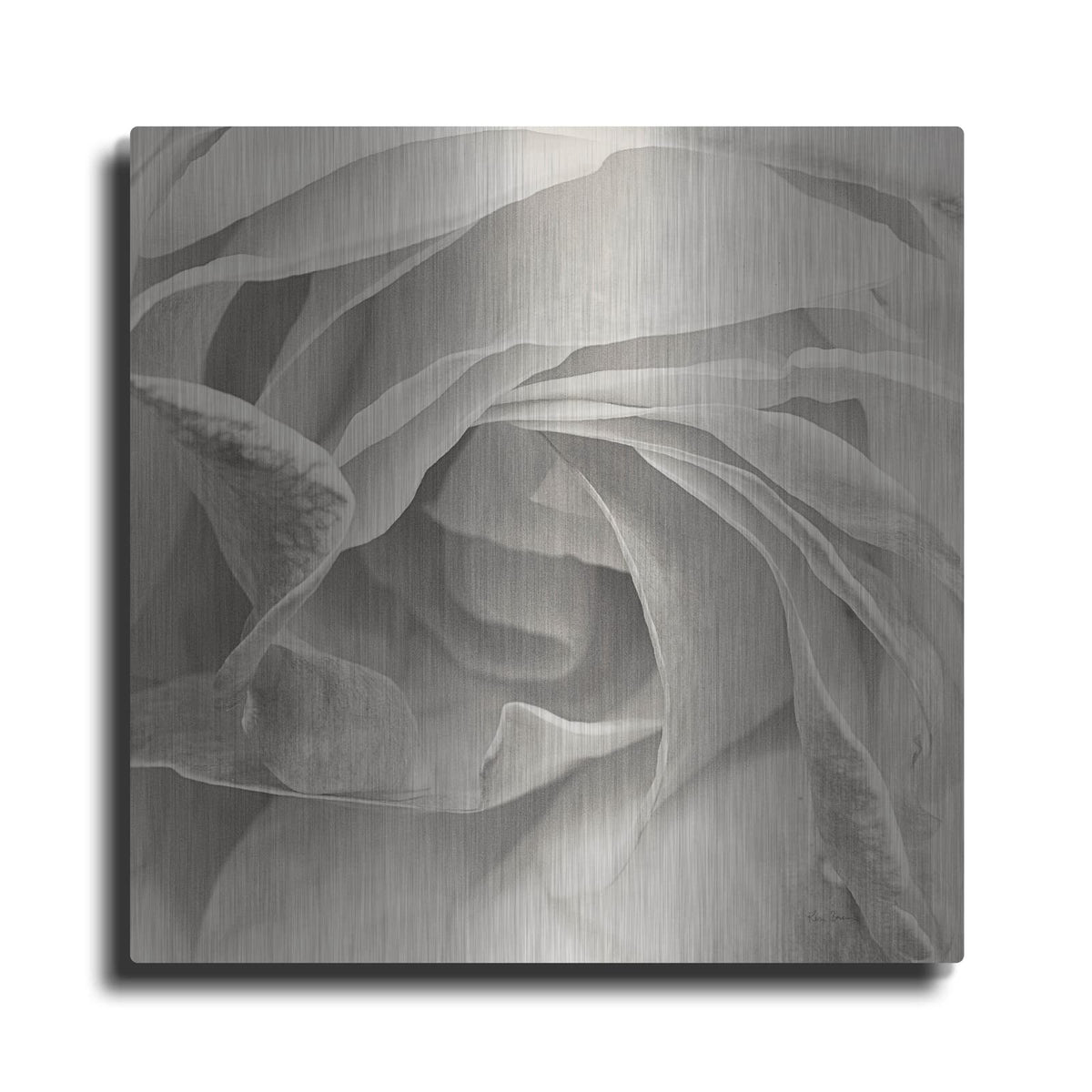 'Georgia Bw' by Keri Bevan – Metal Wall Art