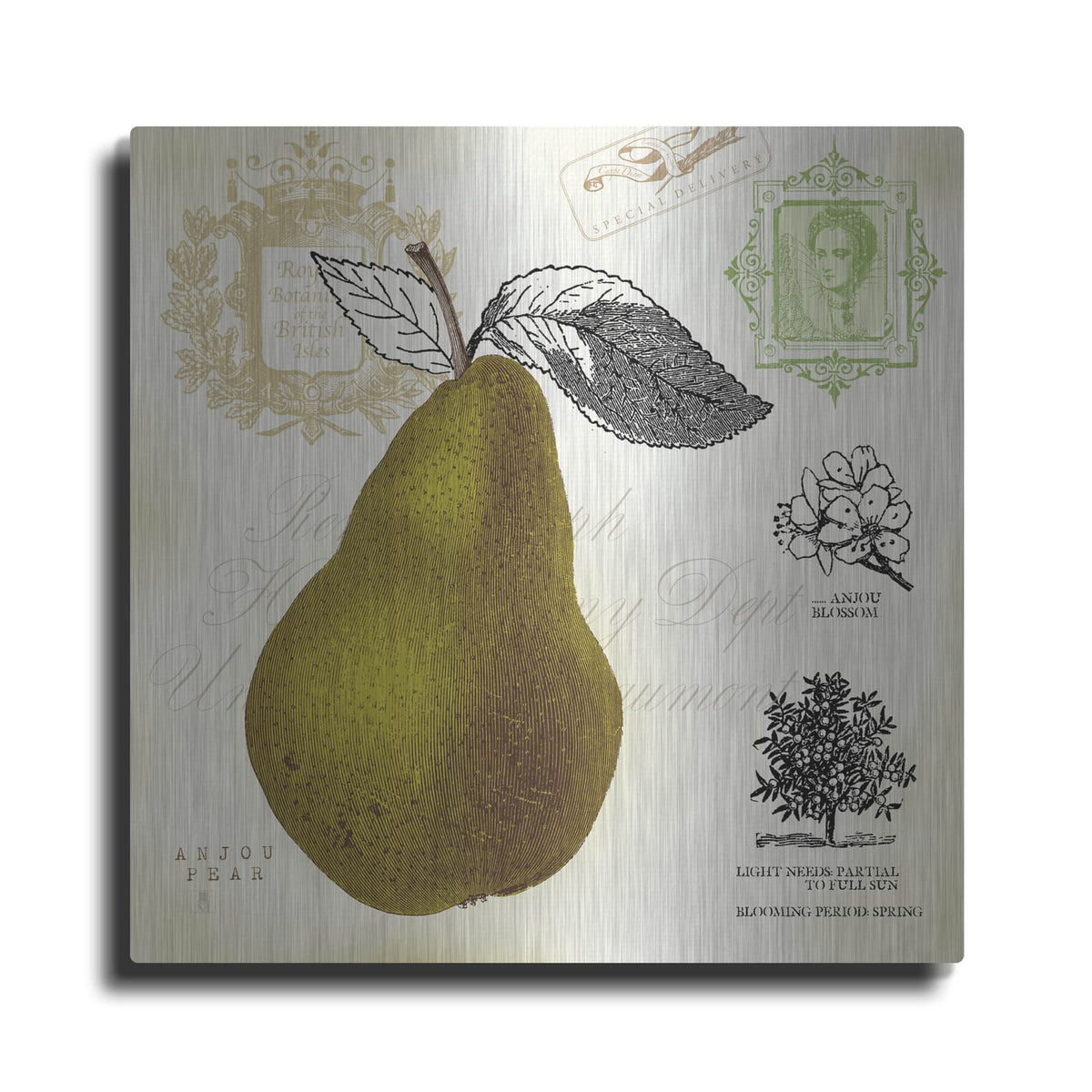 'Pear Notes' by Studio Mousseau – Metal Wall Art