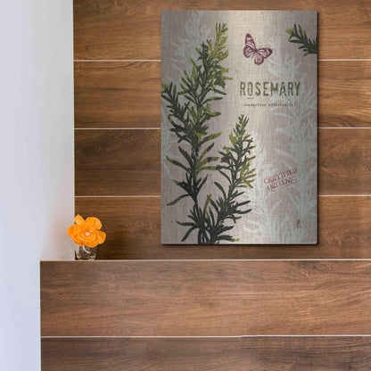 Luxe Metal Art 'Organic Rosemary' by Studio Mousseau, Metal Wall Art,12x16