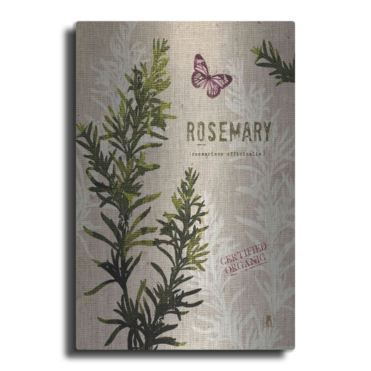 Luxe Metal Art 'Organic Rosemary' by Studio Mousseau, Metal Wall Art