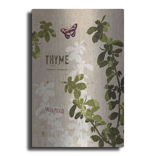 Luxe Metal Art 'Organic Thyme' by Studio Mousseau, Metal Wall Art