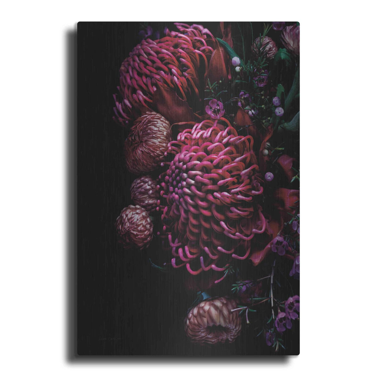'Waratah Bouquet' by Elise Catterall – Metal Wall Art