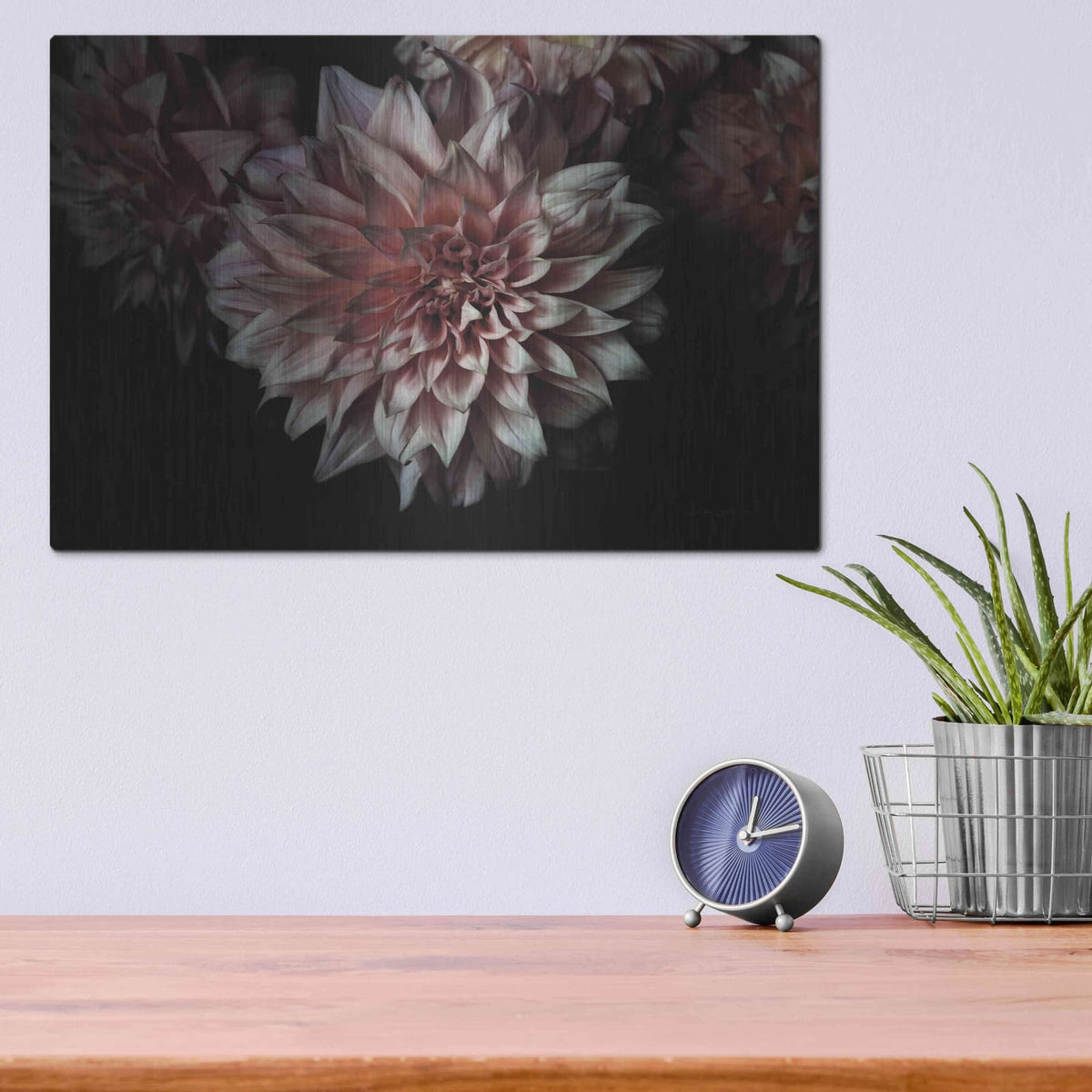 'Peach Dahlias' by Elise Catterall – Metal Wall Art, 16x12 room view