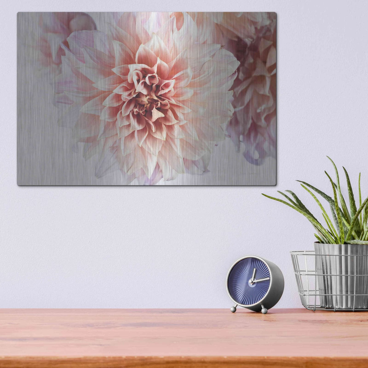 'Peach Dahlias Light' by Elise Catterall – Metal Wall Art, 16x12 room view