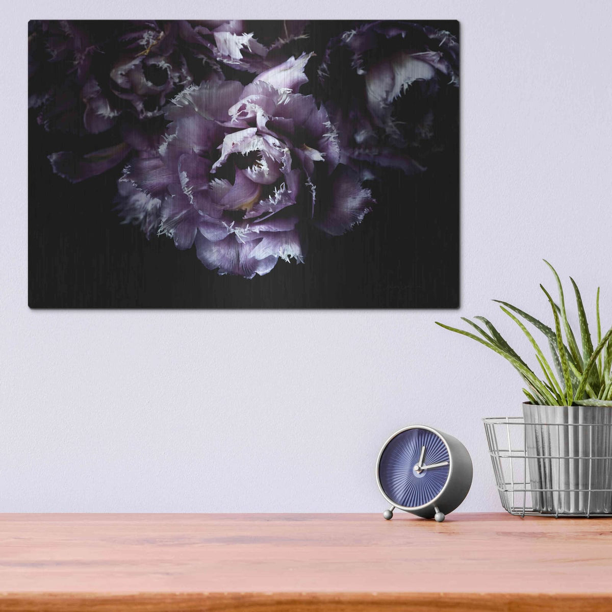 'Purple Fringed Tulips II' by Elise Catterall – Metal Wall Art, 16x12 room view