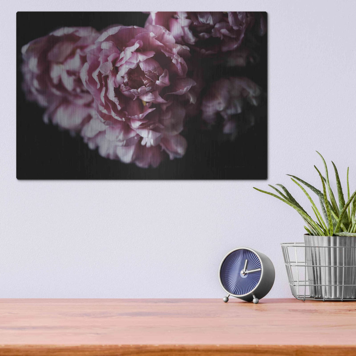 'Pink Double Tulips' by Elise Catterall – Metal Wall Art, 16x12 room view
