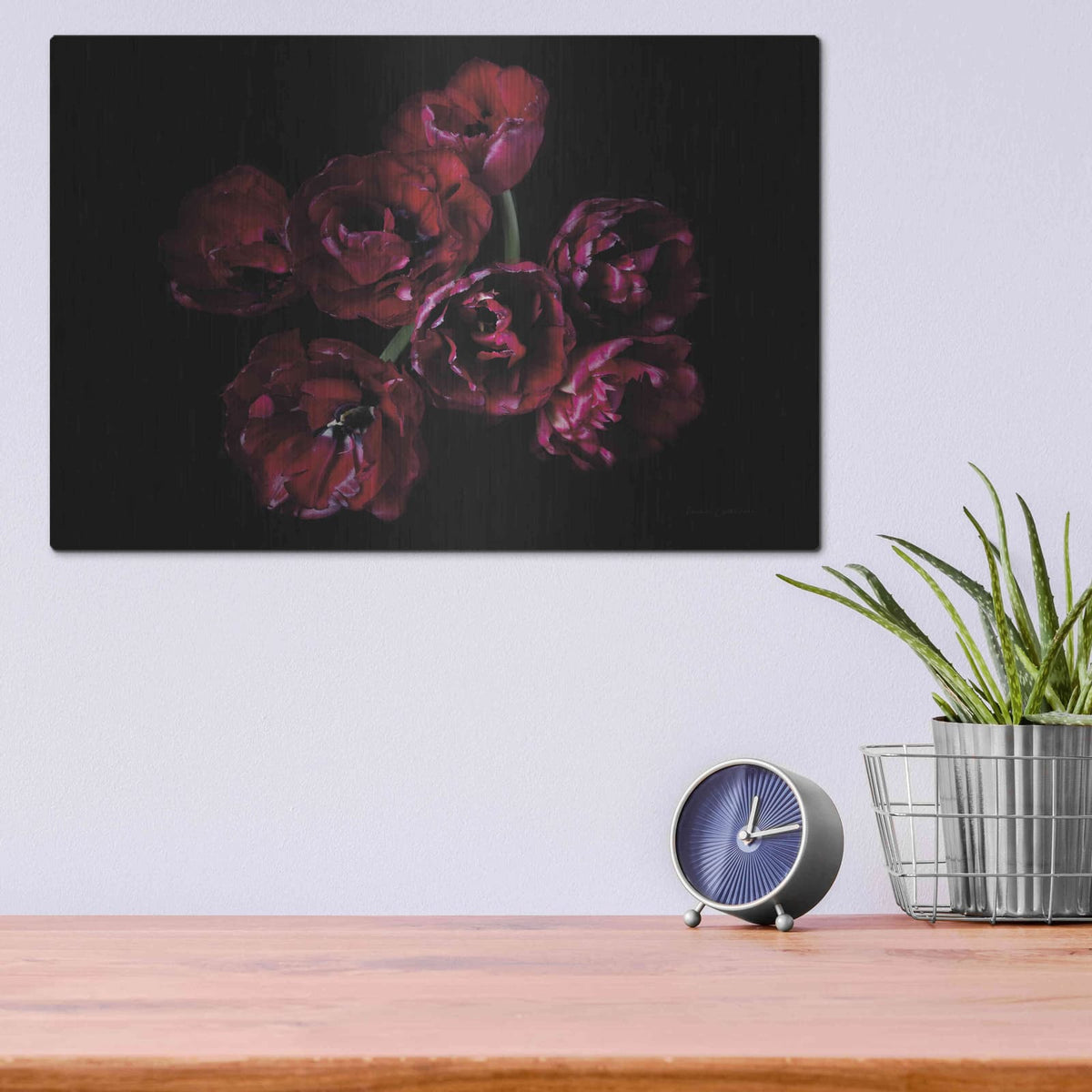 'Red Double Tulips' by Elise Catterall – Metal Wall Art, 16x12 room view