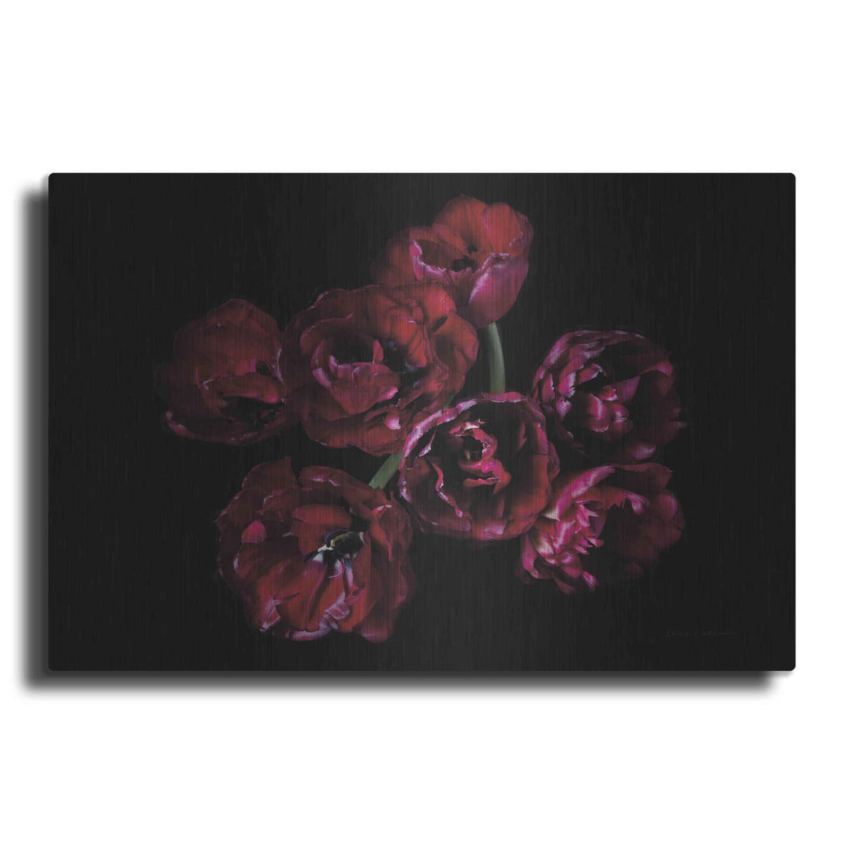 'Red Double Tulips' by Elise Catterall – Metal Wall Art