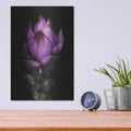 'Siam Tulip' by Elise Catterall – Metal Wall Art, 12x16 room view