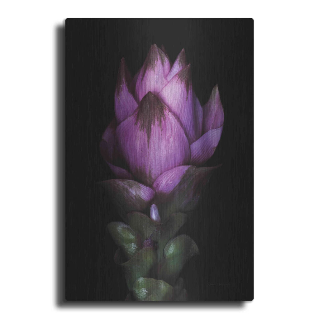 'Siam Tulip' by Elise Catterall – Metal Wall Art