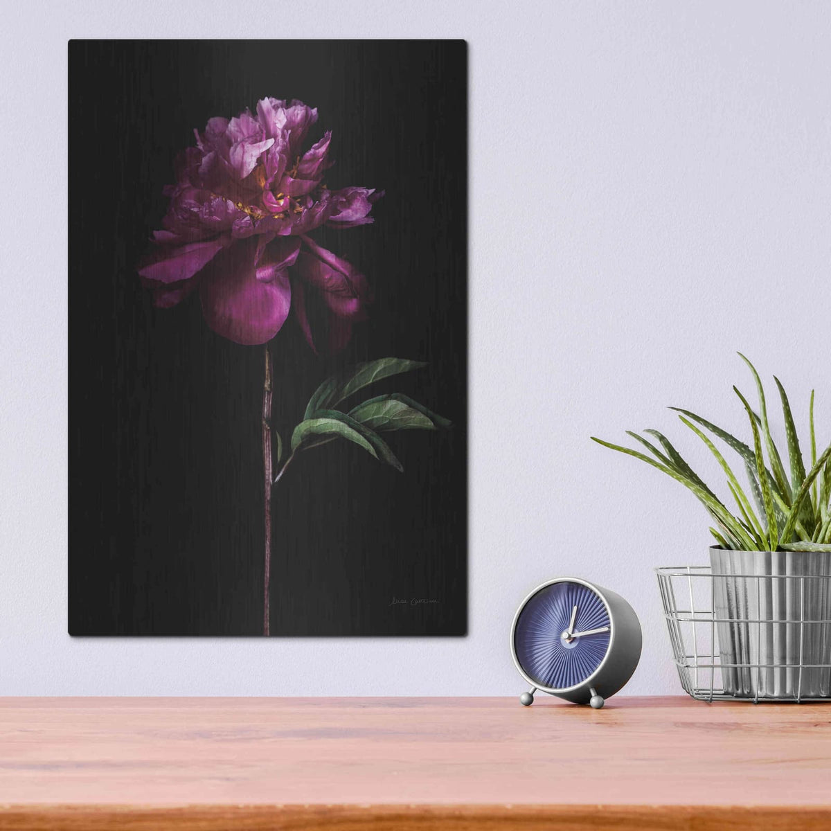 'Peony Portrait' by Elise Catterall – Metal Wall Art, 12x16 room view