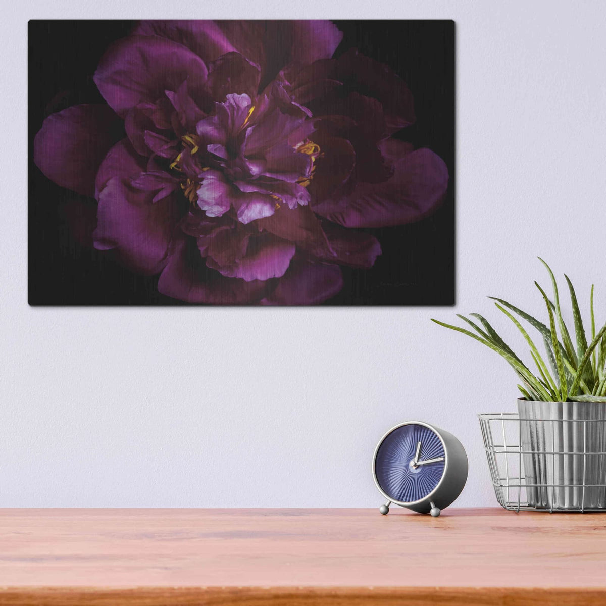 'Vivid Dark Peony' by Elise Catterall – Metal Wall Art, 16x12 room view