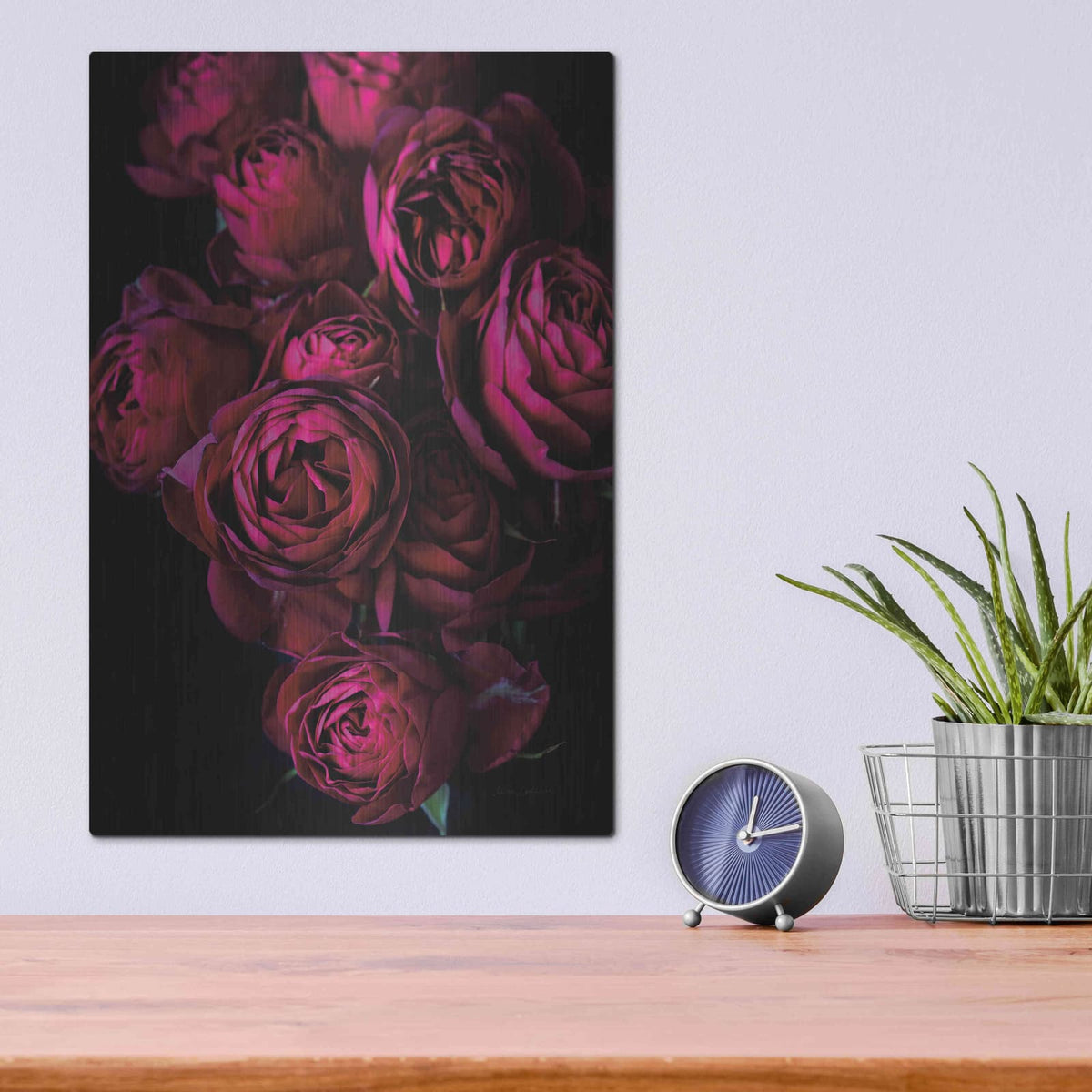 'Cabbage Roses' by Elise Catterall – Metal Wall Art, 12x16 room view