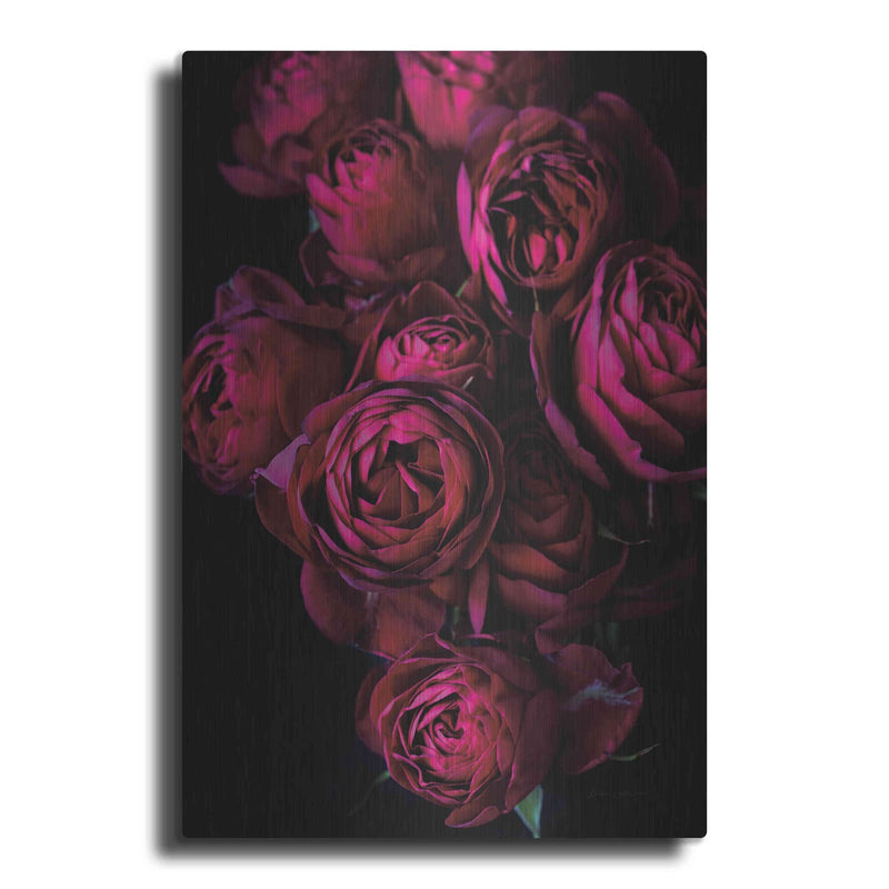 'Cabbage Roses' by Elise Catterall – Metal Wall Art