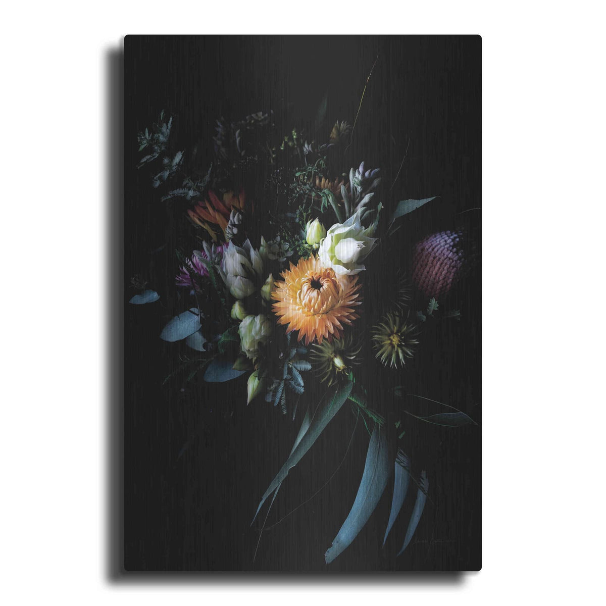 'Native Collection' by Elise Catterall – Metal Wall Art