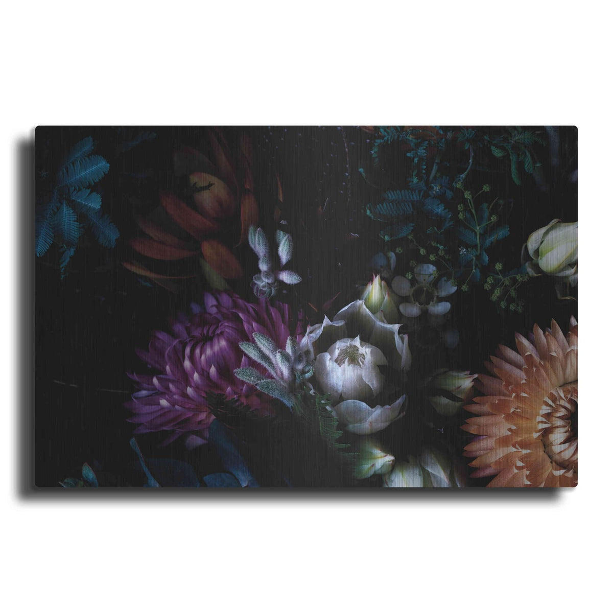 'Paper Daisies and Blushing Brides' by Elise Catterall – Metal Wall Art