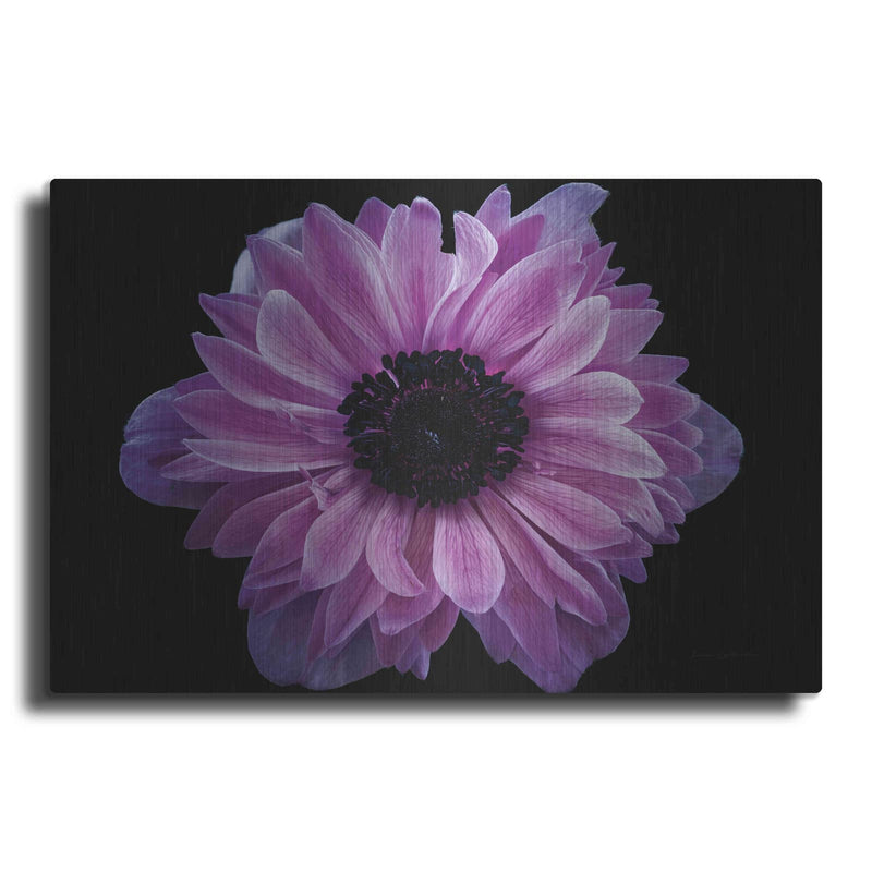 'Purple Anemone' by Elise Catterall – Metal Wall Art